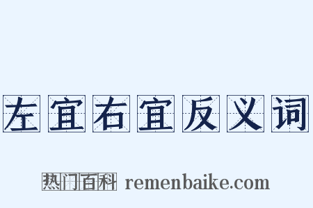 左宜右宜反义词是什么意思的图片